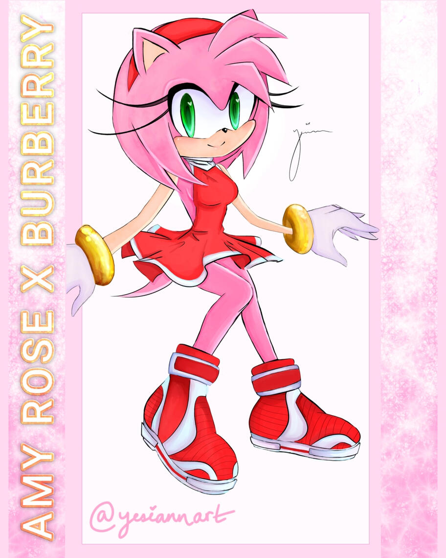 Amy Rose x Burberry Shoes